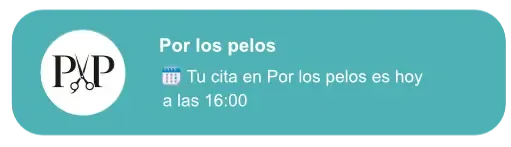Recordatorio de cita enviado unas horas antes